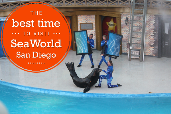 The best time to visit SeaWorld San Diego