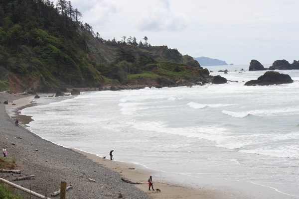 The view from the parking lot above the beach. In the movie, this is where Bella and her friends got ready to surf on the beach below.