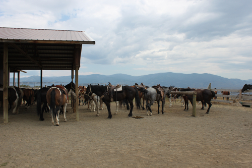 Horseback Riding at Sun Mountain Lodge