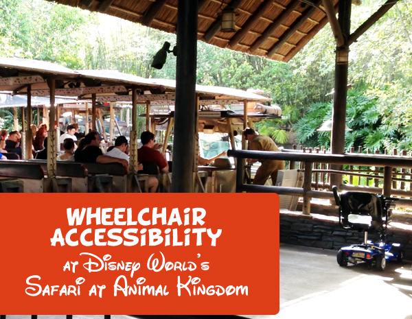 Wheelchair Accessibility at Disney World Animal Kingdom Safari Ride