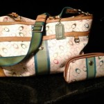 Coach XL the best diaper bag