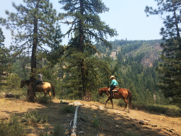 horse back riding in north lake tahoe alpine meadows