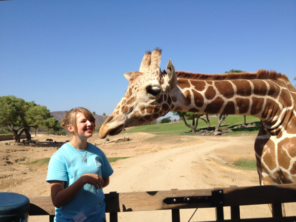 san diego zoo safari park with special needs and handicap accessibility