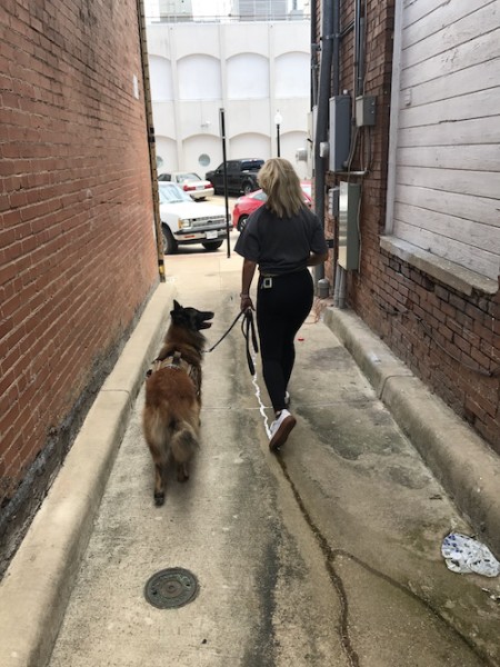 service dog in school - where to buy a service dog vest