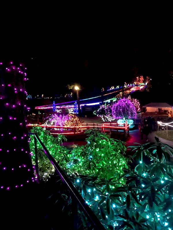 Where to find holiday lights near Seattle